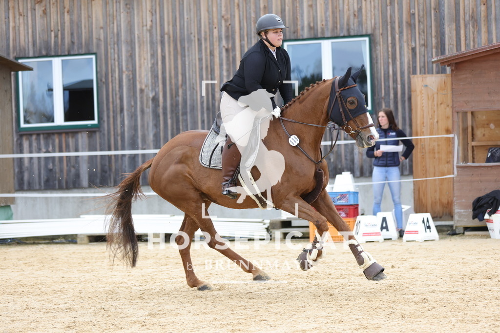 0P6A9071 | Willkommen bei Brunnmayr - Design & Fotografie – Ihrem Spezialisten für Reitturniere und Pferdeveranstaltungen in Oberösterreich, Salzburg und Bayern! Seit über 17 Jahren sind wir leidenschaftlich dabei.