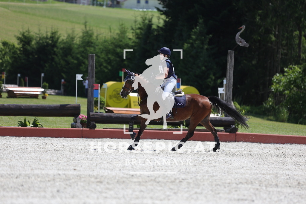 0P6A3517 | Willkommen bei Brunnmayr - Design & Fotografie – Ihrem Spezialisten für Reitturniere und Pferdeveranstaltungen in Oberösterreich, Salzburg und Bayern! Seit über 17 Jahren sind wir leidenschaftlich dabei.