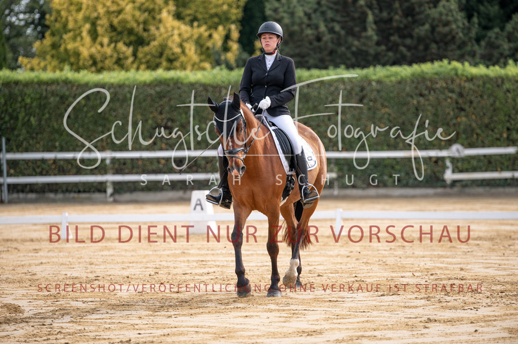 Schugtsche-Aluta25-40.DressurprfA_-81 | Schugtsche Fotografie - Realisiert mit Pictrs.com