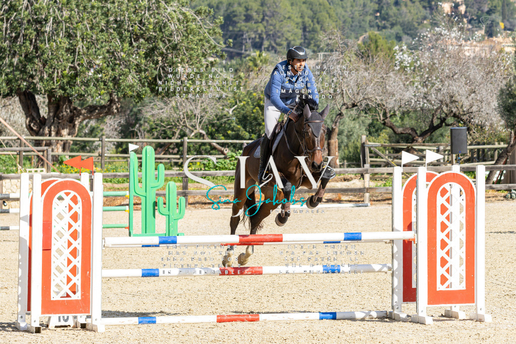 IMG_4004 | s-jay-photography - Realisiert mit Pictrs.com