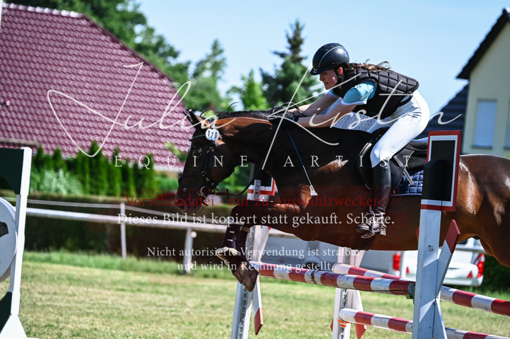 DSC_1503 | Pferde- und Turnierfotografie in Westsachsen. Pferdeportraits, Auftragszeichnungen und intuitive Kunst.