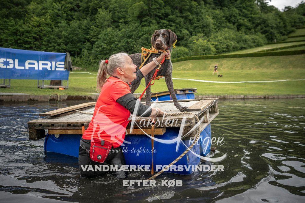 1001_ZZ93652 | kk-dogfotos