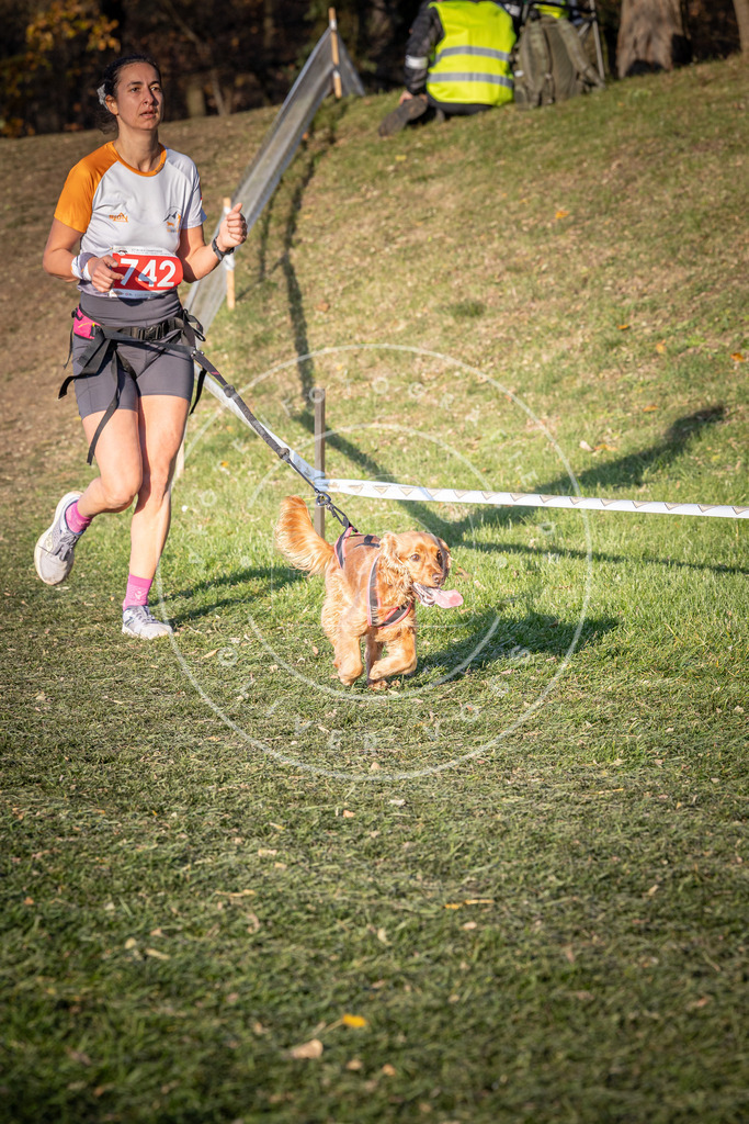 CaniXpix_0L8A9960 | Hundefotografie, Tierfotograf, Pfotenfotografie, Fotoshooting Hund, Hunde Portrait, Hundesport, Hundeportraits, Heideshooting, Hunde, Sportfotograf, Hundefotograf, Turnierhundsport, THS,  - Realisiert mit Pictrs.com