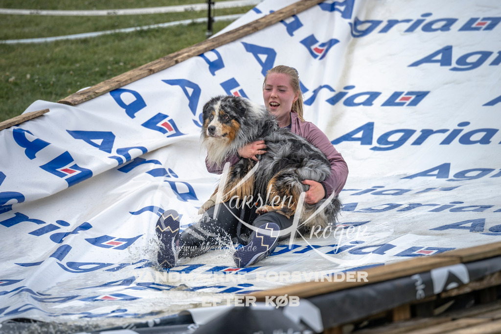 1552_ZZ96815 | kk-dogfotos