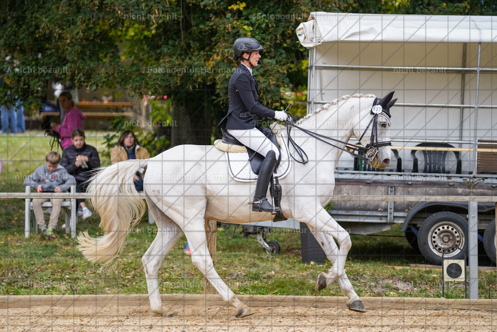 20231007-SN_00924 | Professionelle Turnier- und Reitsportfotografie - mit dem Finger am Auslöser. Pferdebilder aus dem Reitsport von den Turnierfotografen  Bayern , Pferdefotograf Bayern, Pferdeshooting Turnierbilder, Hochzeitsfotograf, Eventfotograf, Hochzeitsbilder