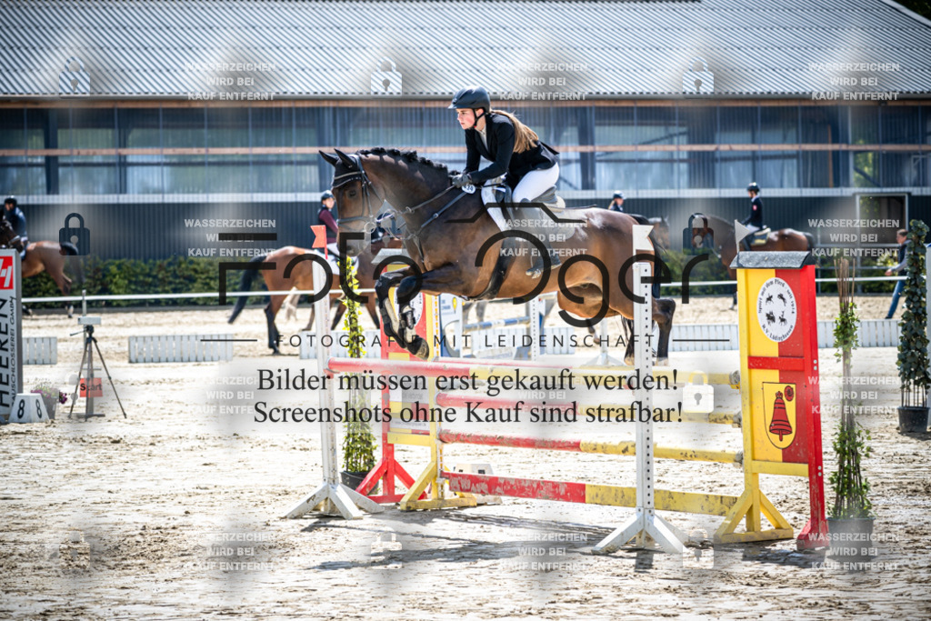 DOS_1447 | Reitturnier Lüdinghausen - Realisiert mit Pictrs.com