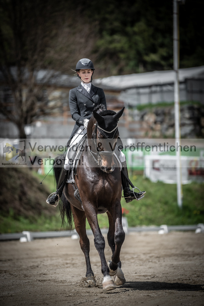 DSC_2322 | equestrian-live-com