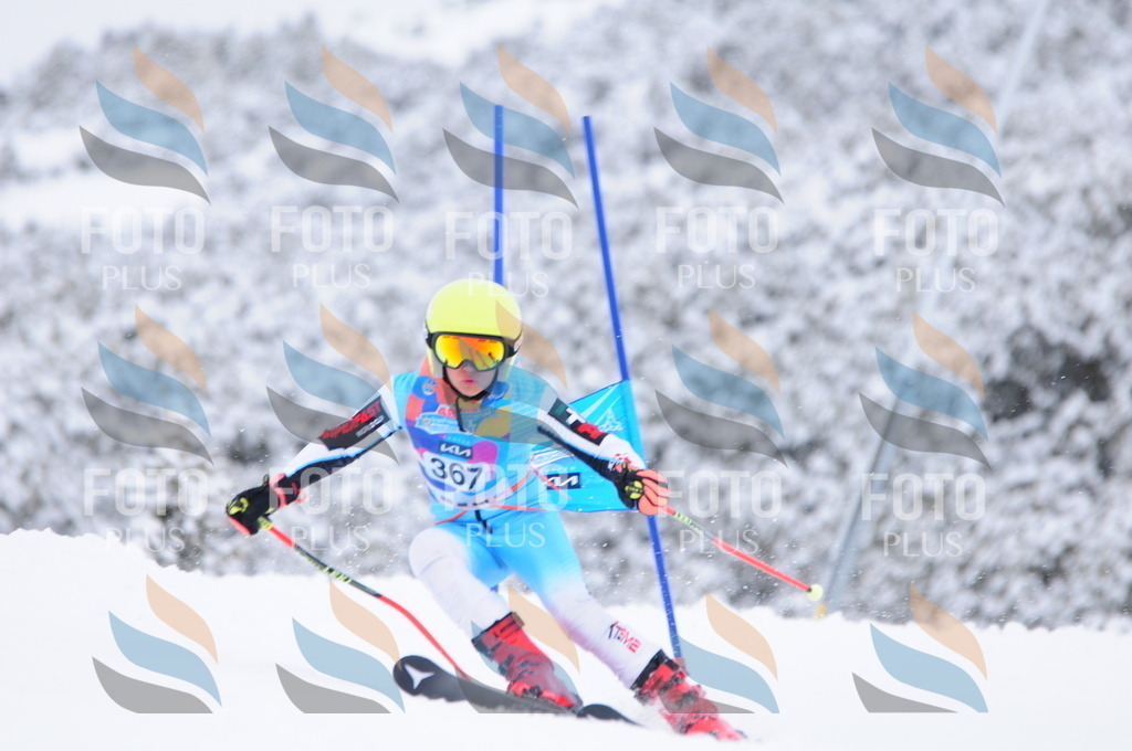 C3919 | holidayphoto