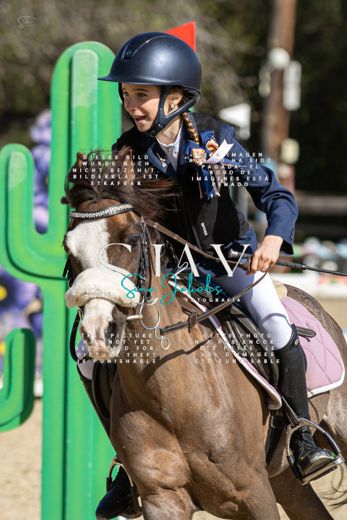 IMG_6297-2 | s-jay-photography - Realisiert mit Pictrs.com