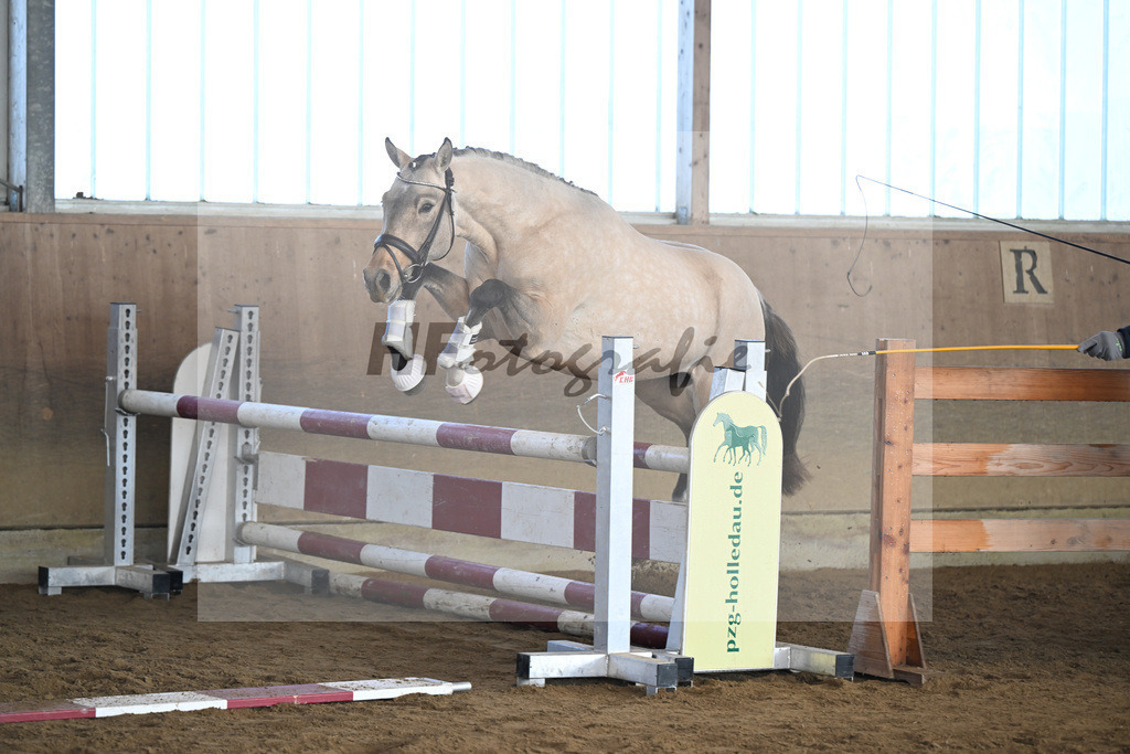 Kat-Nr. 8 Gruendleinshofs Gluecksgarant v. Gold Garant_Kaus_49250217 | hf-fotografie - Realisiert mit Pictrs.com