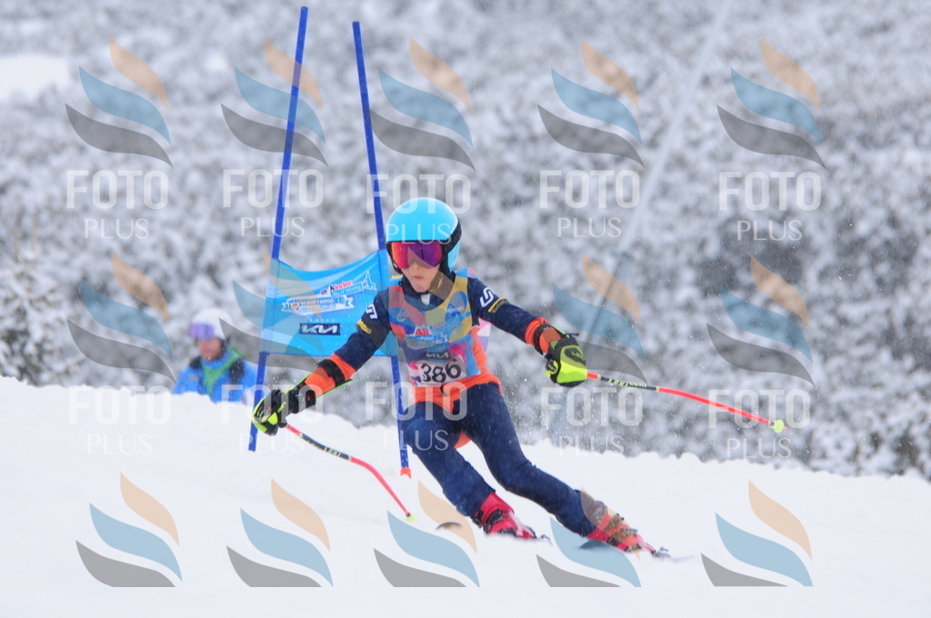 C4096 | holidayphoto