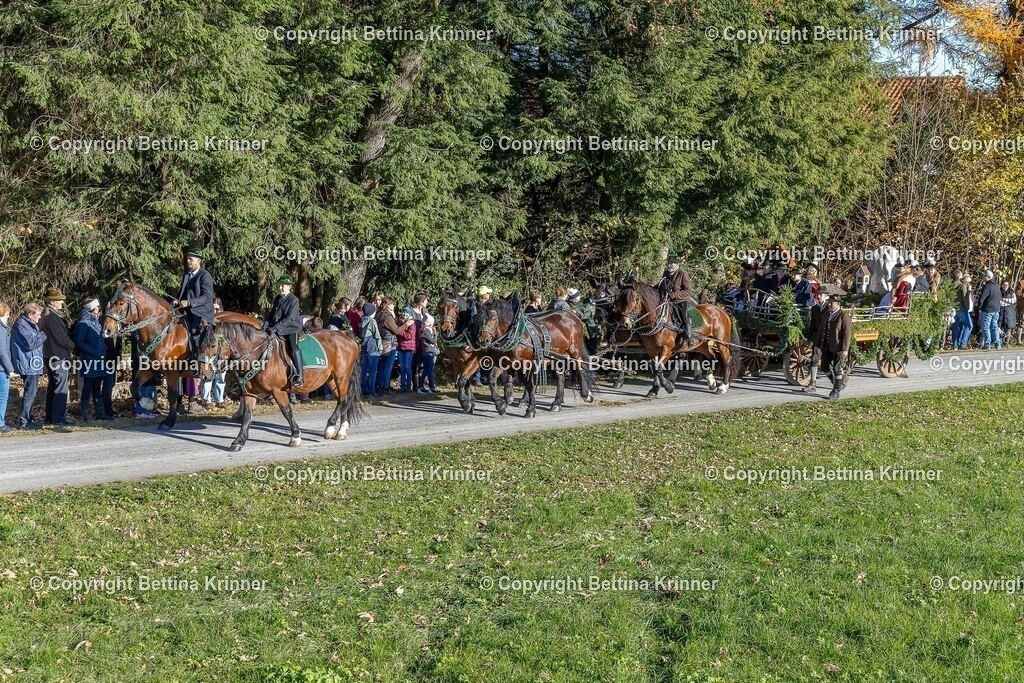 LBT25-511 | foto-bettina-krinner - Realisiert mit Pictrs.com