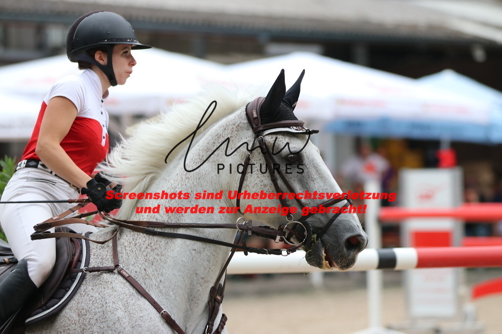 IMG_2840 | lmwpictures - Realisiert mit Pictrs.com