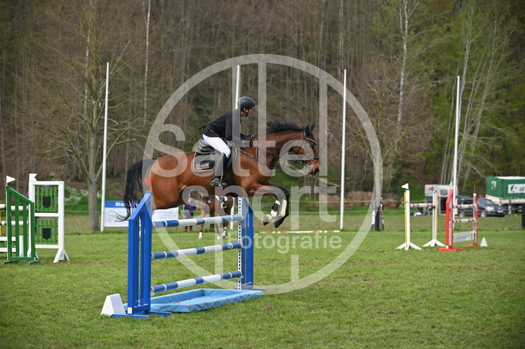 DSC_3749 | sattelsport - Realisiert mit Pictrs.com