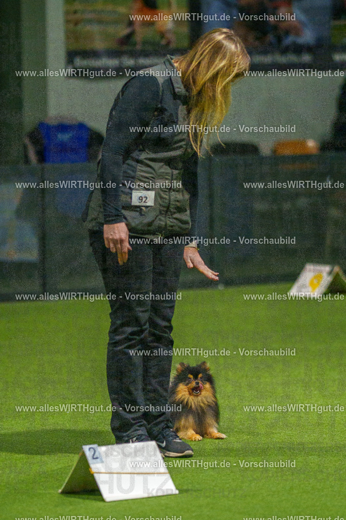 7R508869 | Professionelle Tierfotografie in Mönchengladbach von Daniel Wirth (allesWIRTHgut). Liebevolle & natürliche Bilder von Hunden & Katzen für unvergessliche Erinnerungen.