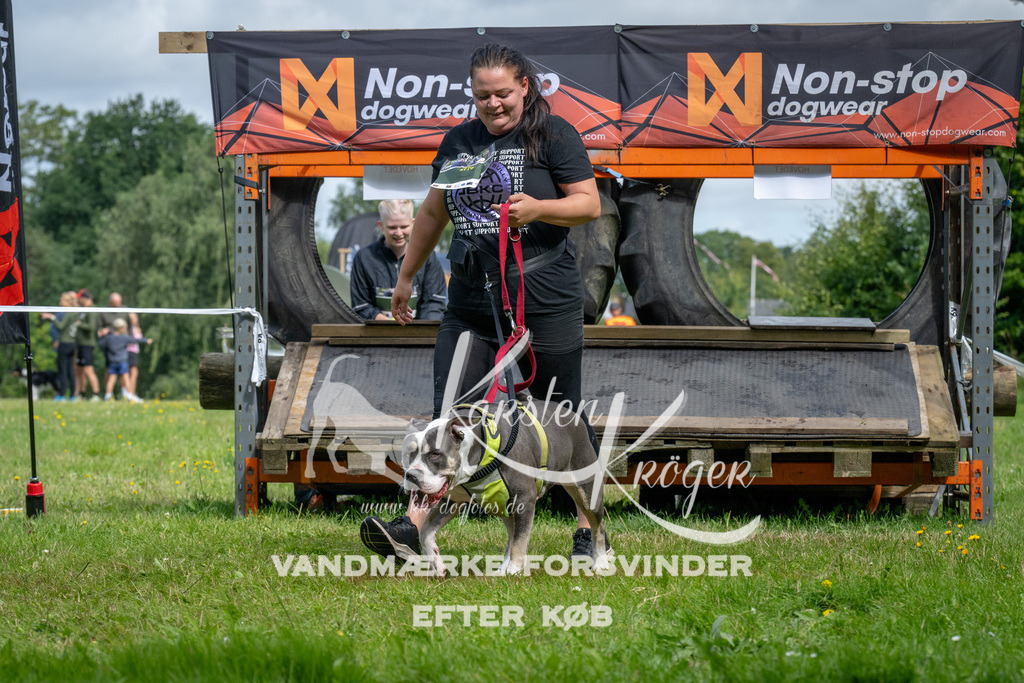 1137_ZZ92826 | kk-dogfotos