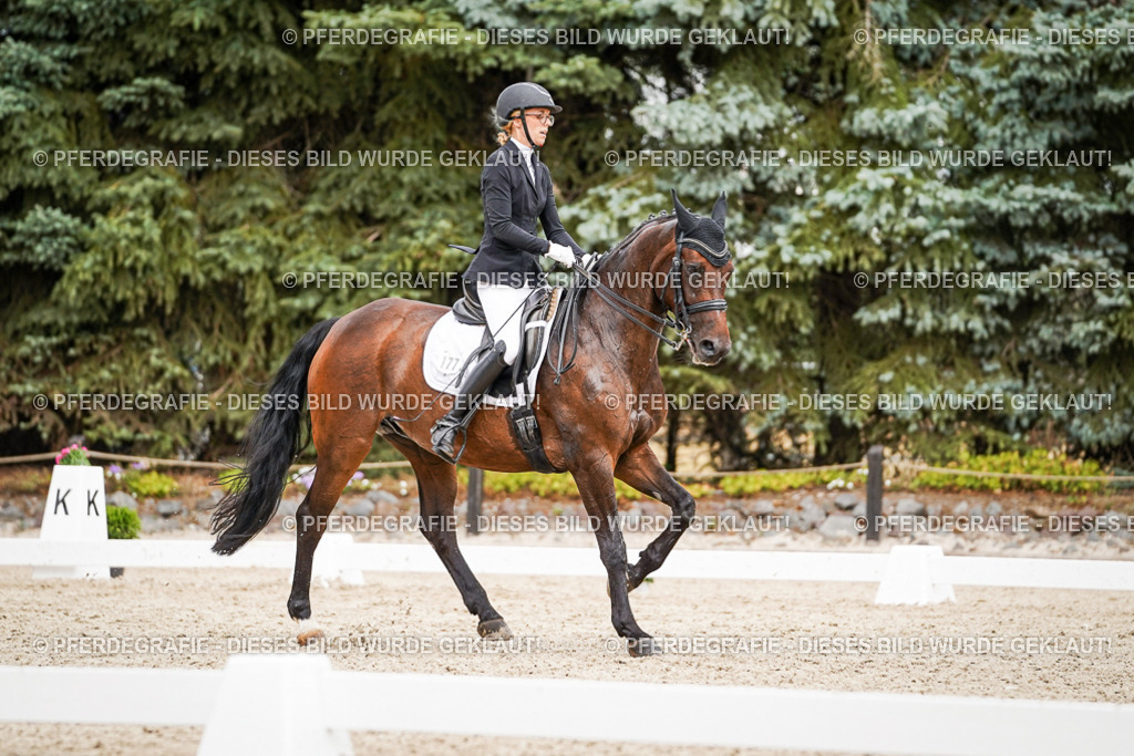 DSC04701 | Pferdegrafie