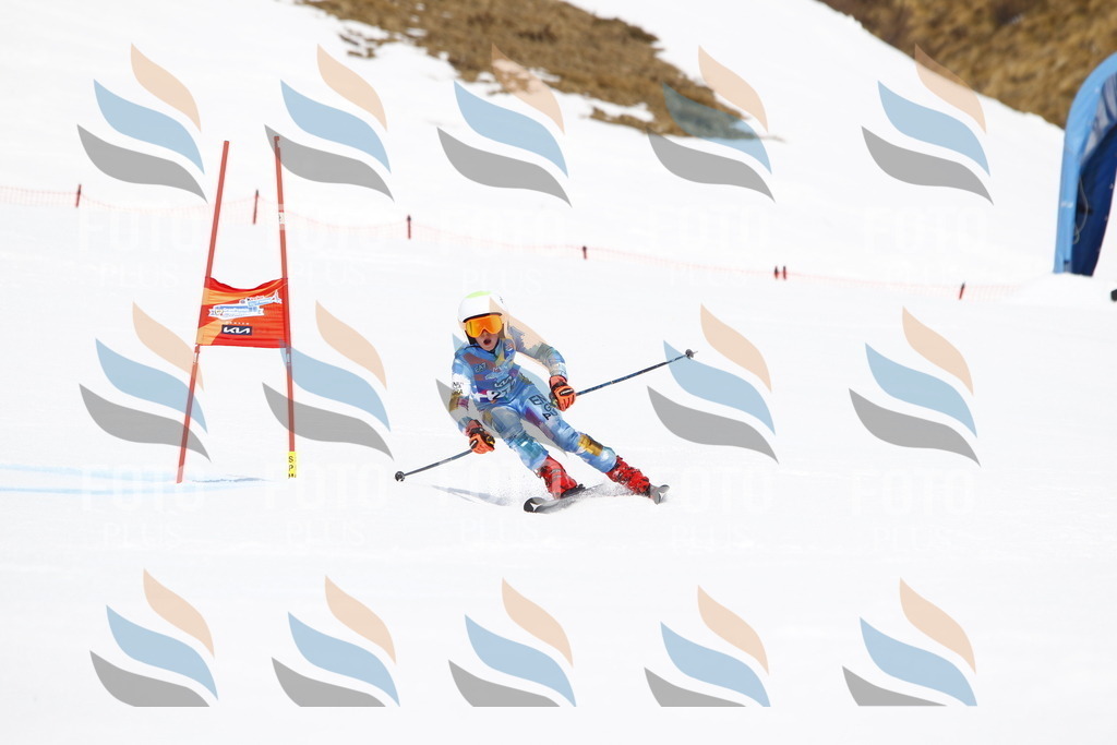 _U3G6801 | holidayphoto