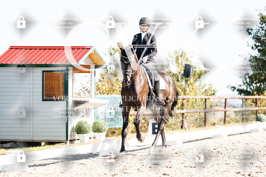 CK908992 | Turnierfotografie Pferdefotografie Trier Rheinland-Pfalz Pferdesport Reitsport Tierfotografie Sportfotografie Pferdevideo Pferdevideografie Equestrianvideography equestrianphotography  - Realisiert mit Pictrs.com