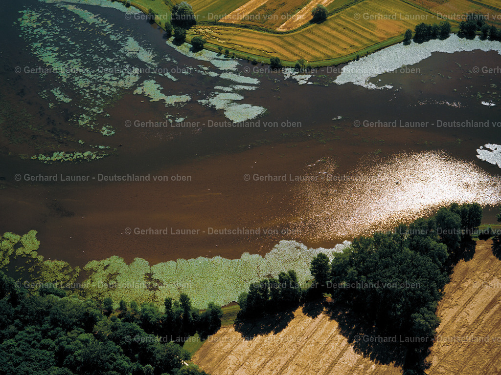 9300316 | Donau bei Oberdischingen