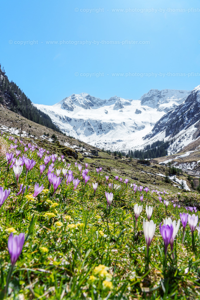  Stilluptal Frühling copyright  Thomas Pfister-15 | PHOTOGRAPHY BY THOMAS PFISTER