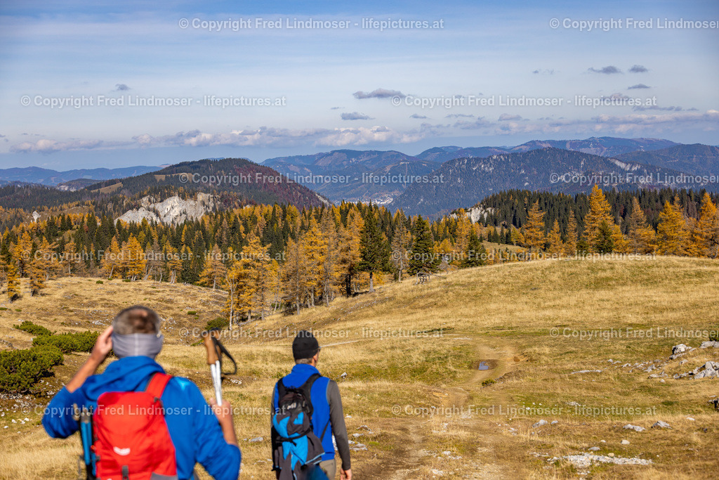 Kastenriegel Graualm Rundtour ueber Rosshoelle Bschlagstatt_Hohe Weichsel Hochschwabgebiet 27102021-0748 | Fotos und Fotoprodukte - Realisiert mit Pictrs.com
