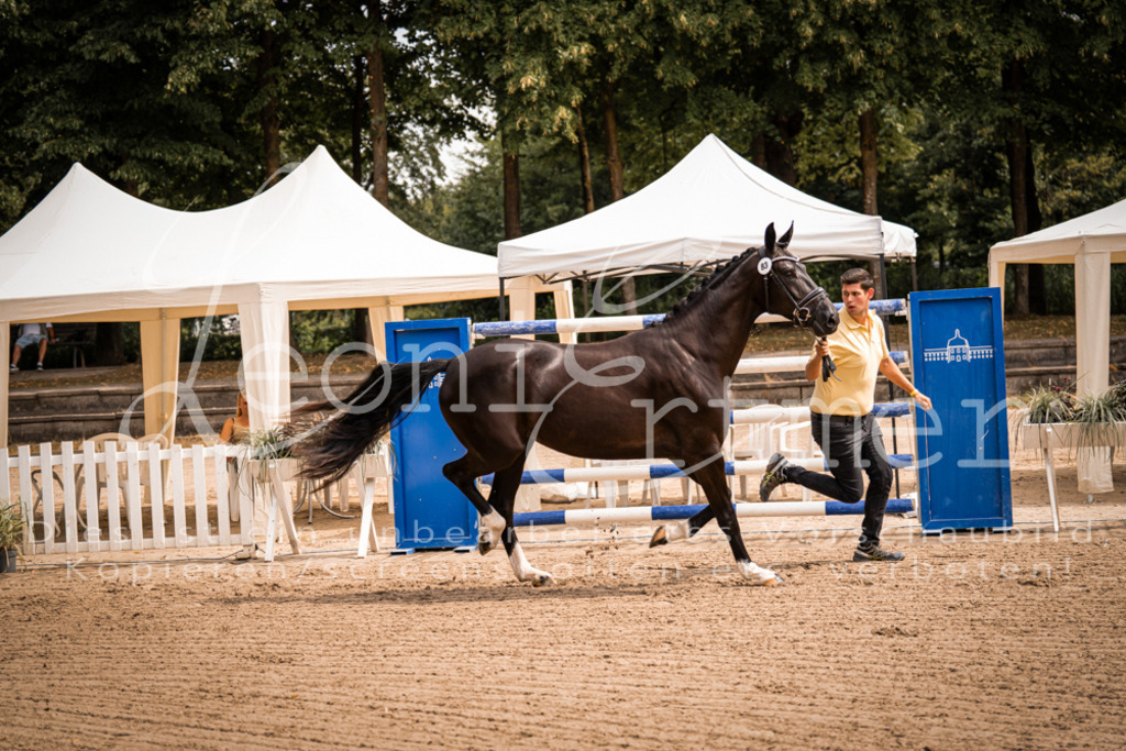 4.Fr00189 | Leoni Ertmer Photography - Realisiert mit Pictrs.com