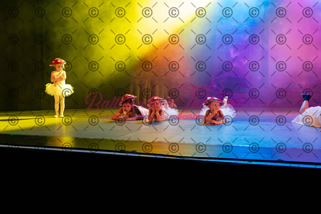 Ballettaufführung-49 | Bildershop Lem'n Entertainment - Realisiert mit Pictrs.com