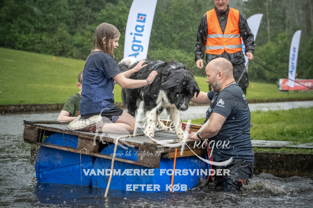 1323_ZZ98039 | kk-dogfotos