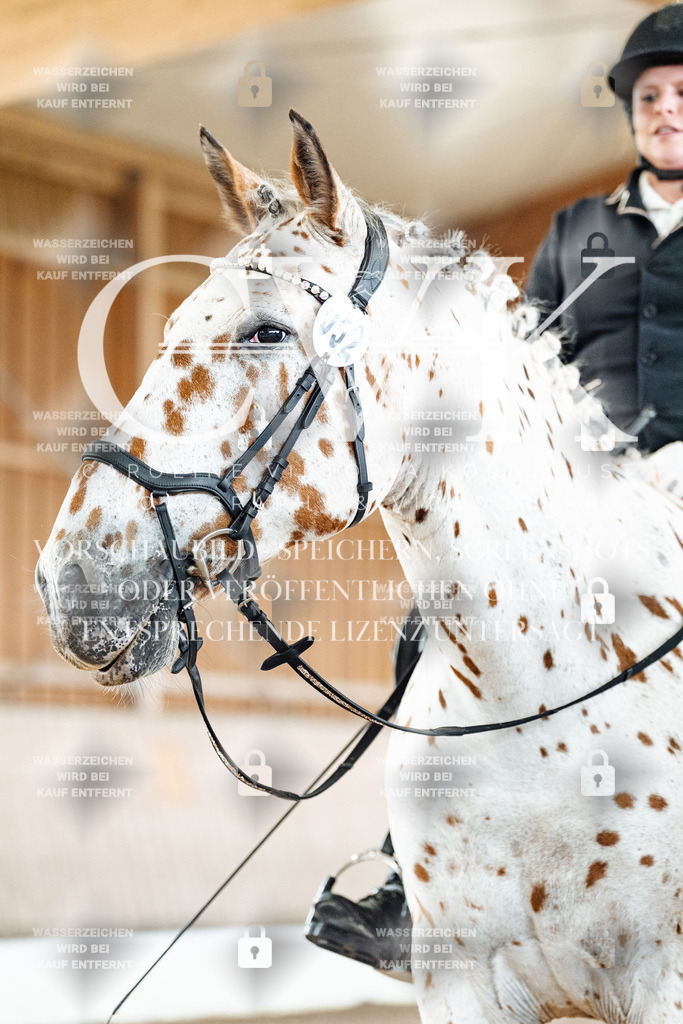 CK901234 | Turnierfotografie Pferdefotografie Trier Rheinland-Pfalz Pferdesport Reitsport Tierfotografie Sportfotografie Pferdevideo Pferdevideografie Equestrianvideography equestrianphotography  - Realisiert mit Pictrs.com