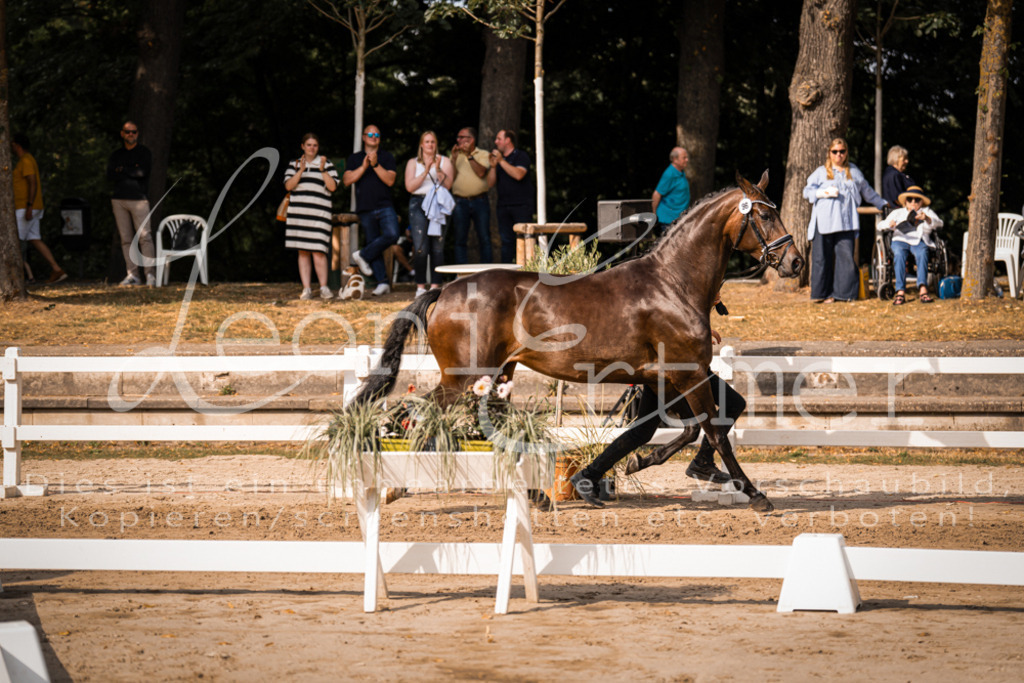 FrER00173 | Leoni Ertmer Photography - Realisiert mit Pictrs.com