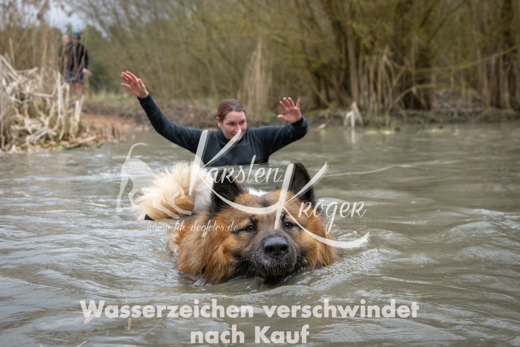 1404_ZZ96358 | kk-dogfotos