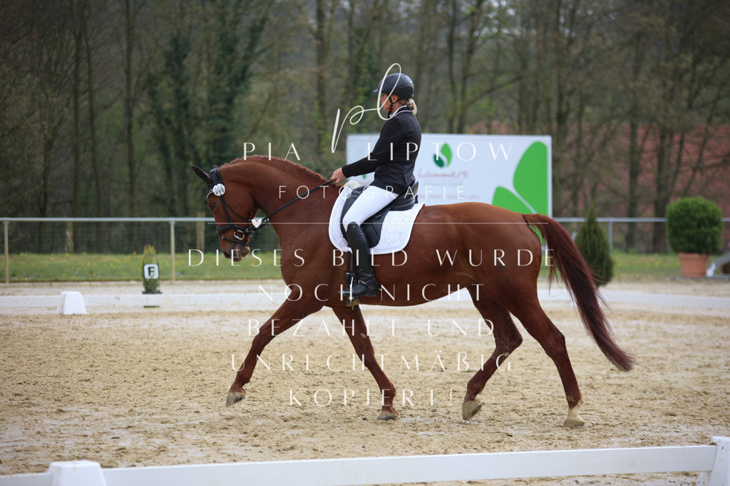 IMGT5164 | pl-fotografie