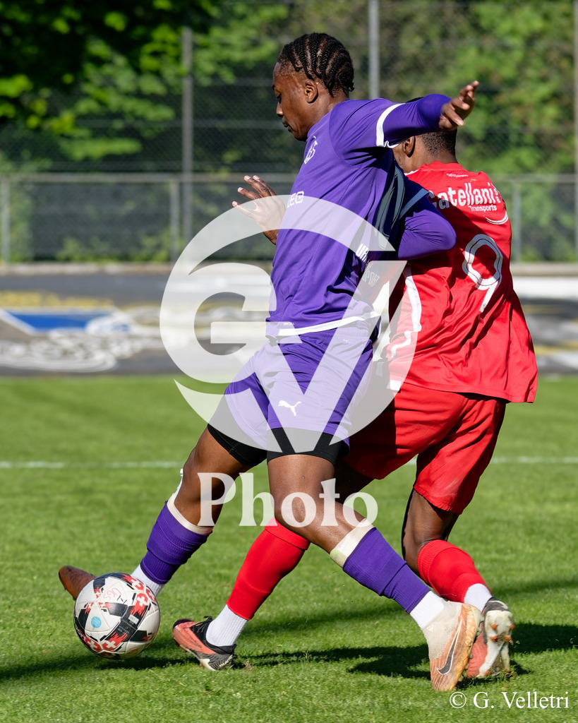 DSC_7304 | Velletri Photo