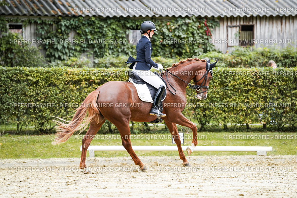 DSC07002 | Pferdegrafie