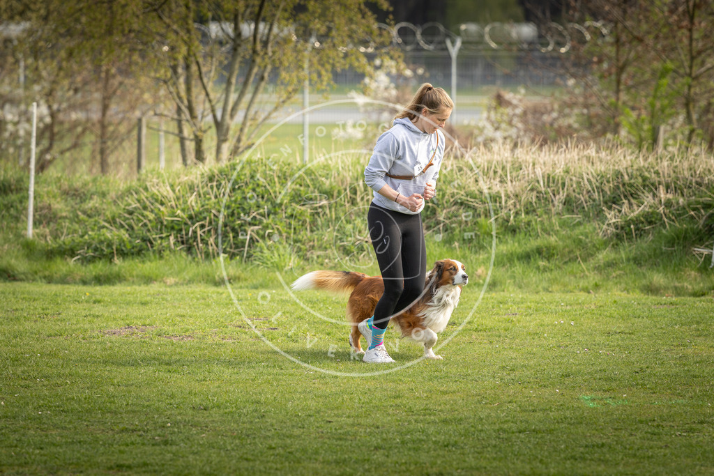 Pfotenfotografie_DV3A4955 | Hundefotografie, Tierfotograf, Pfotenfotografie, Fotoshooting Hund, Hunde Portrait, Hundesport, Hundeportraits, Heideshooting, Hunde, Sportfotograf, Hundefotograf, Turnierhundsport, THS,  - Realisiert mit Pictrs.com