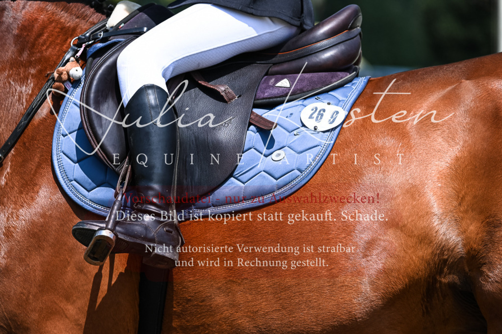 DSC_9678 | Pferde- und Turnierfotografie in Westsachsen. Pferdeportraits, Auftragszeichnungen und intuitive Kunst.