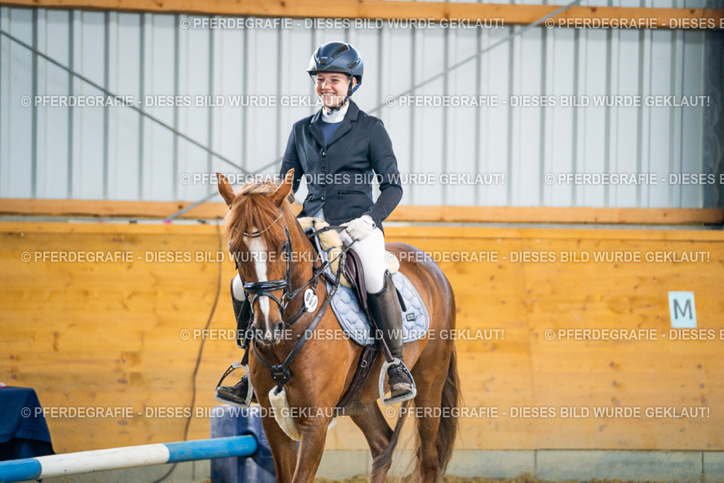 DSC01021 | Pferdegrafie