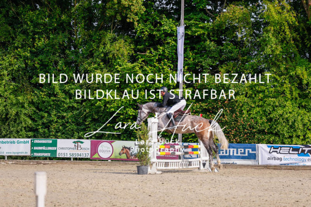 _62_3601 | larahueckfotografie