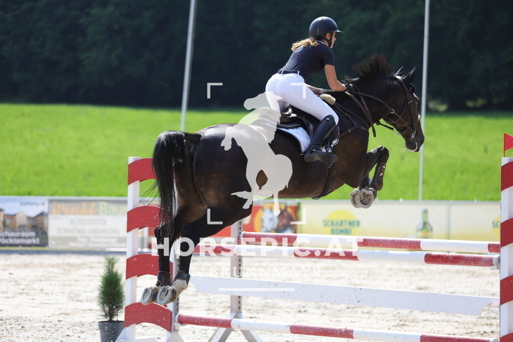 0P6A0708 | Willkommen bei Brunnmayr - Design & Fotografie – Ihrem Spezialisten für Reitturniere und Pferdeveranstaltungen in Oberösterreich, Salzburg und Bayern! Seit über 17 Jahren sind wir leidenschaftlich dabei.