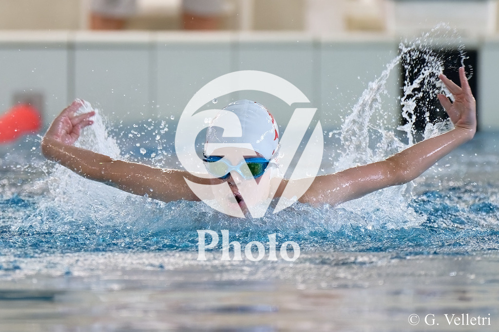 DSC_9241 | Velletri Photo