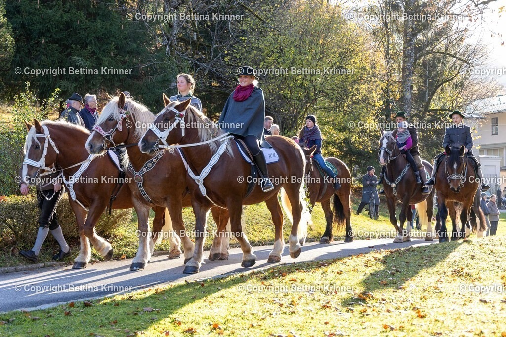 LL24-200 | foto-bettina-krinner - Realisiert mit Pictrs.com