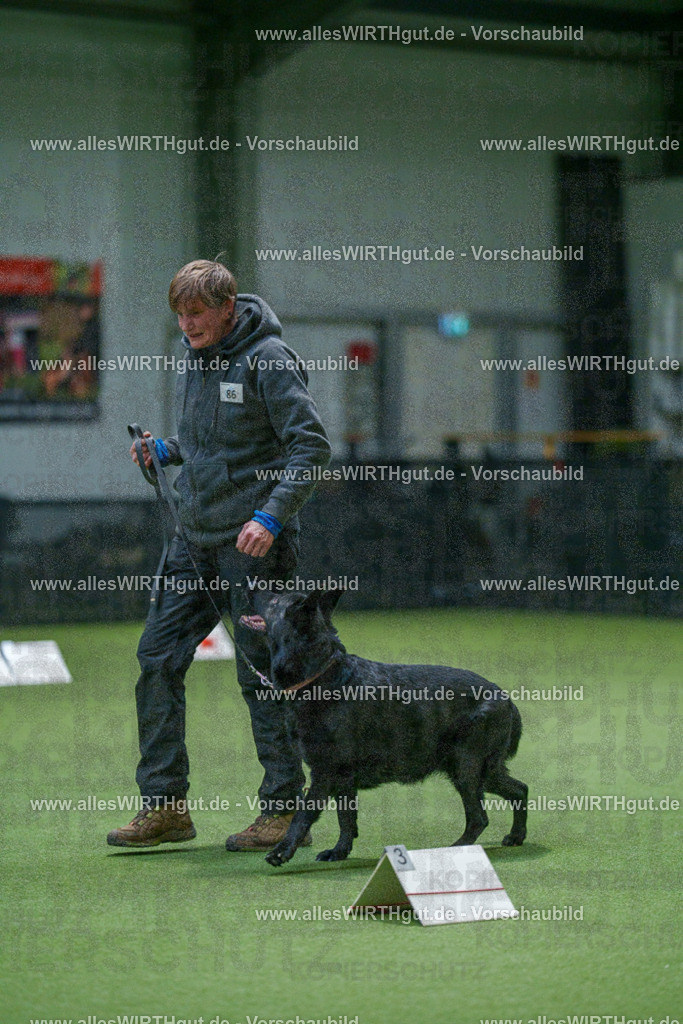 7R508123 | Professionelle Tierfotografie in Mönchengladbach von Daniel Wirth (allesWIRTHgut). Liebevolle & natürliche Bilder von Hunden & Katzen für unvergessliche Erinnerungen.