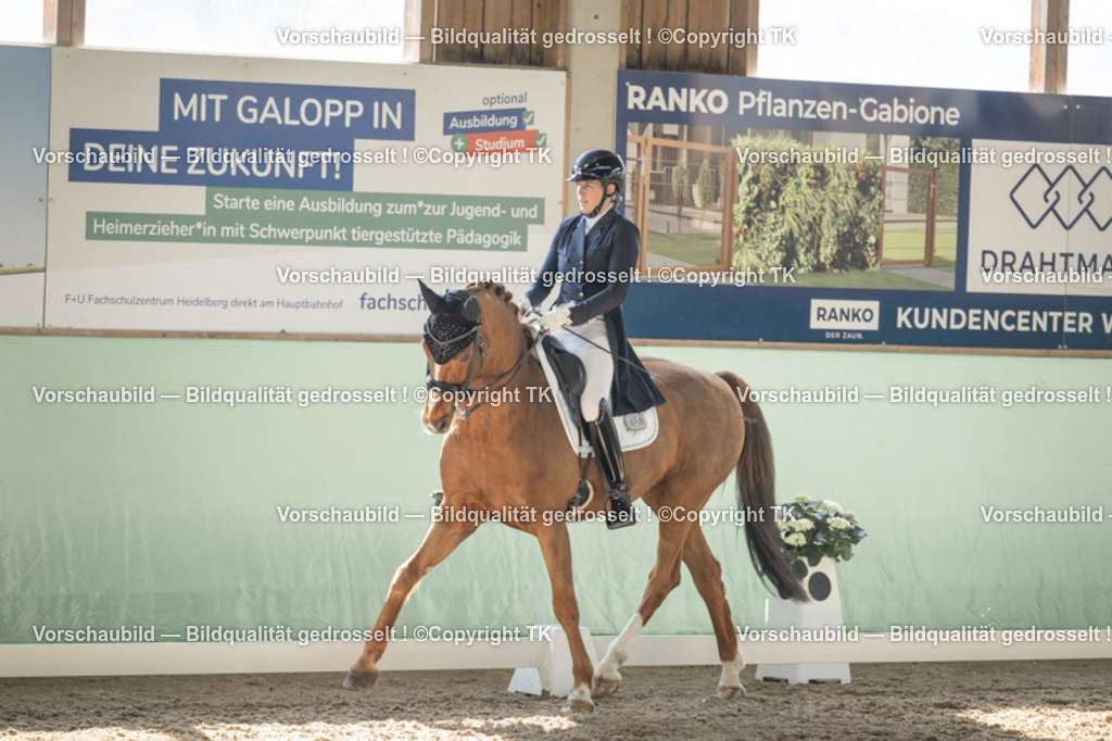 _D5A2432 | Emotionale Pferde- & People-Fotografie rund um Heidelberg, Leimen & Umgebung. Natürliche Fotos von Pferd, Mensch & Familie. Jetzt Termin sichern!