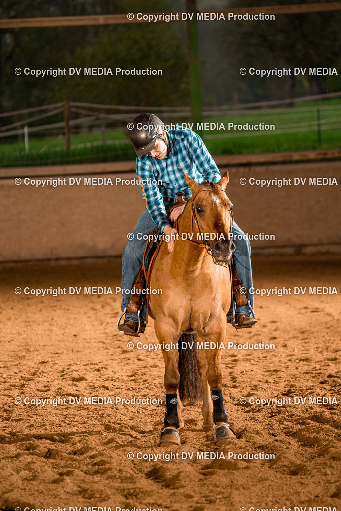 BAL01123 | dv-media-shop - Realisiert mit Pictrs.com