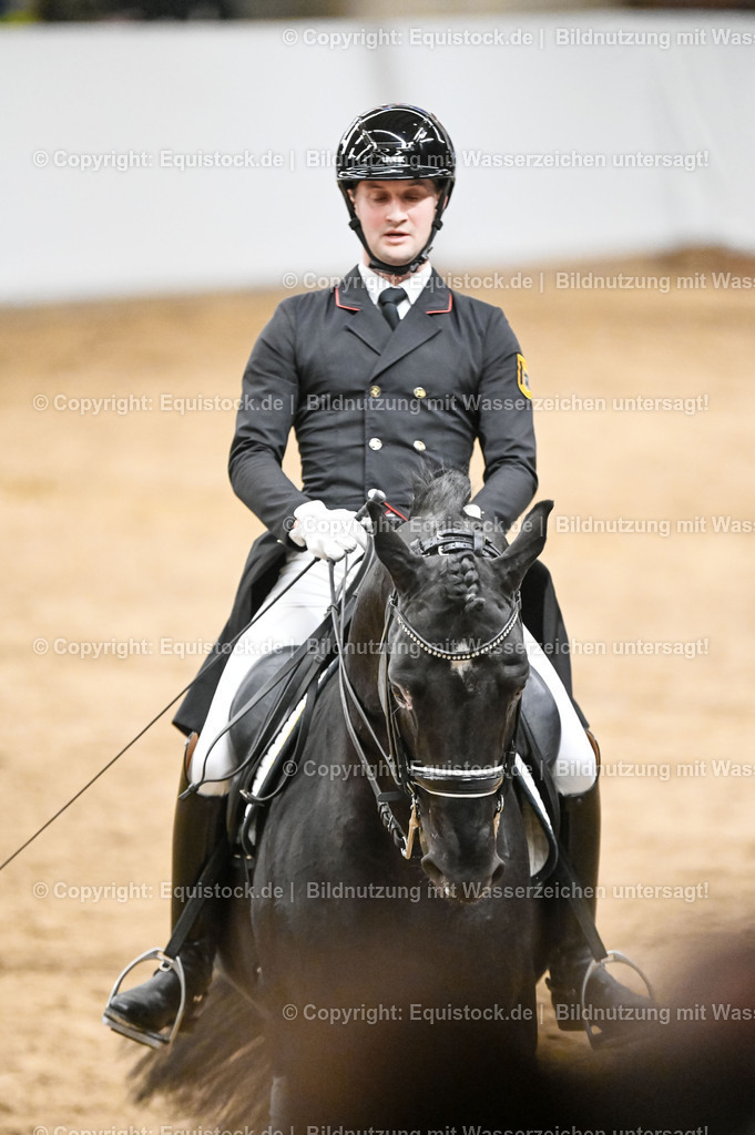20260307_Hengstvorstellung-Marbach_0278 | equistock