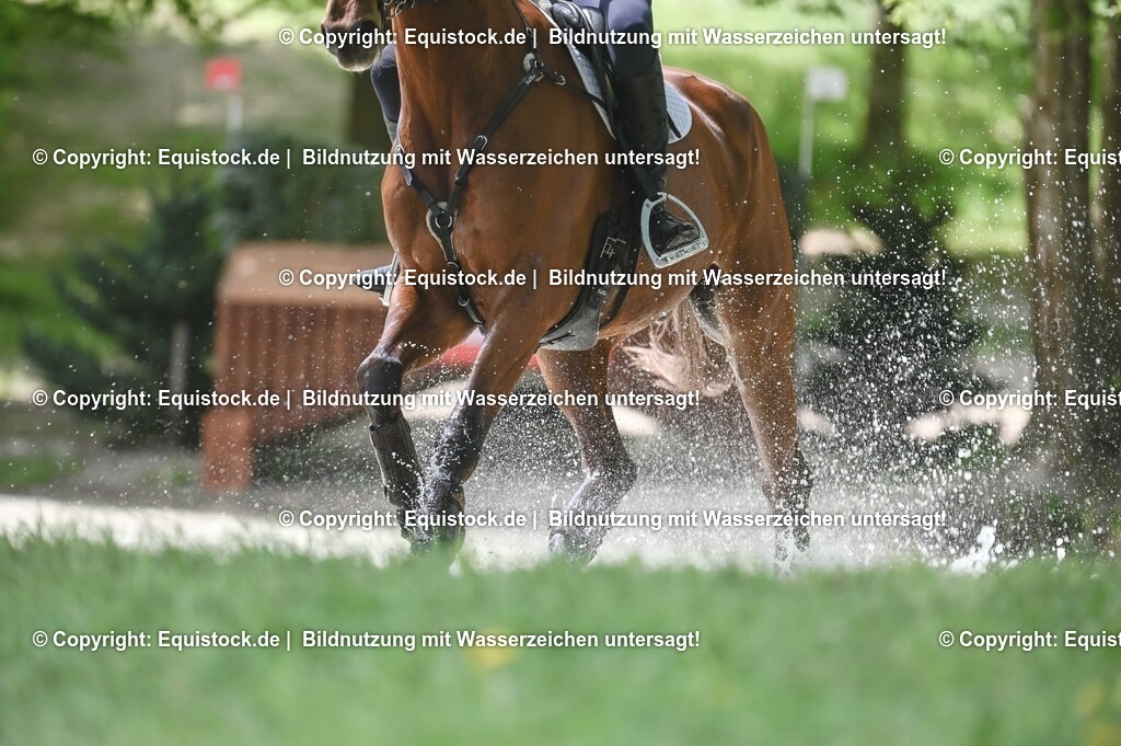 20250517_CCI2_Gelände_1847 | Foto: Thomas Hartig