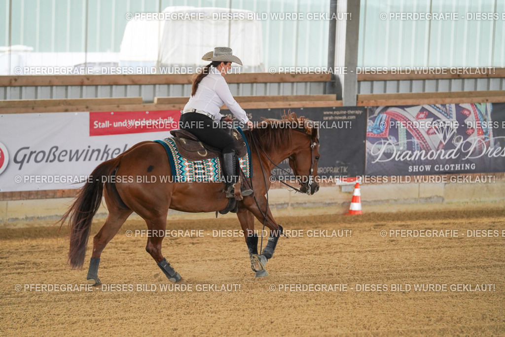 DSC07903 | Pferdegrafie