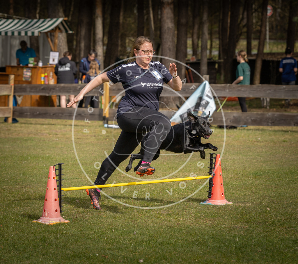 Pfotenfotografie_DV3A9383 | Hundefotografie, Tierfotograf, Pfotenfotografie, Fotoshooting Hund, Hunde Portrait, Hundesport, Hundeportraits, Heideshooting, Hunde, Sportfotograf, Hundefotograf, Turnierhundsport, THS,  - Realisiert mit Pictrs.com