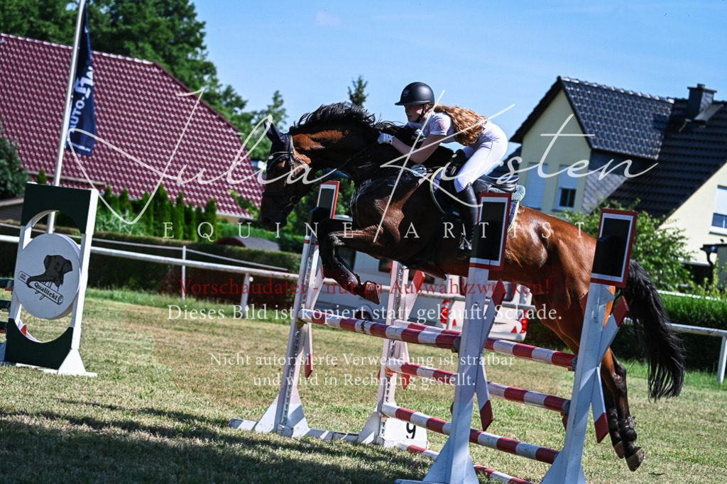 DSC_1695 | Pferde- und Turnierfotografie in Westsachsen. Pferdeportraits, Auftragszeichnungen und intuitive Kunst.